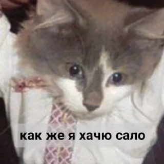 😔