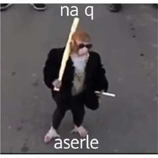 😎