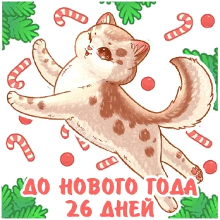 2⃣