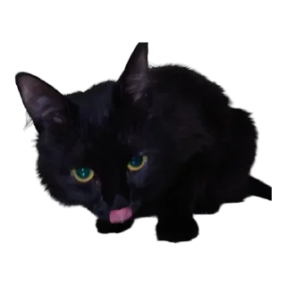 😛
