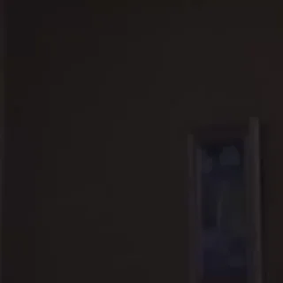 🐰