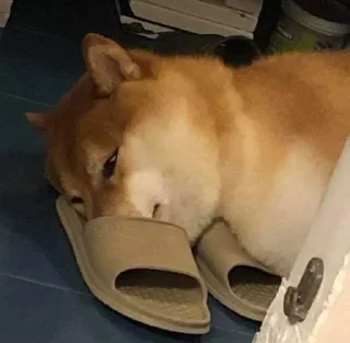 💓