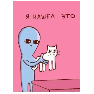 🐈