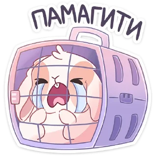😭