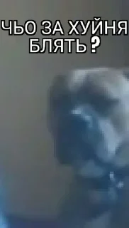 ⁉️