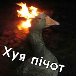 🔥