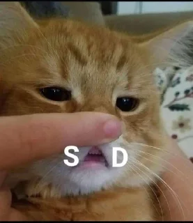 😞