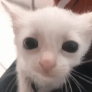 👀