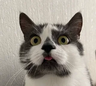 😛
