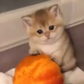 🥹