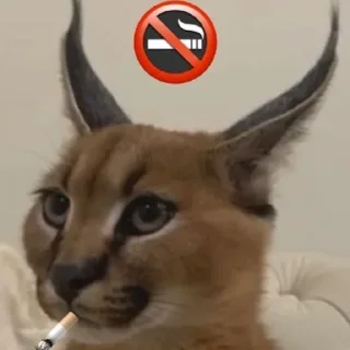 ☹️