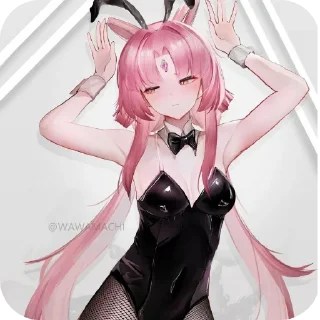 🐰