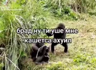 🤩