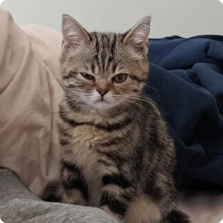 😠