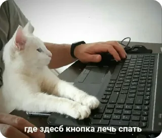 ⌨