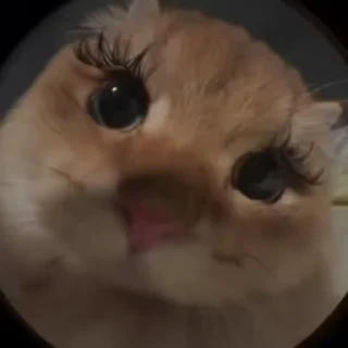 💅