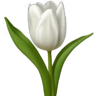 🌷