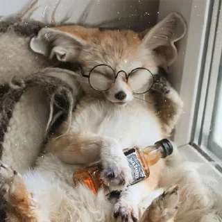 🍺
