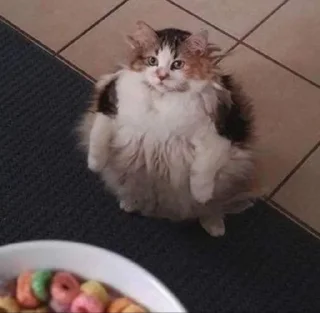 😍