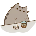 🐱