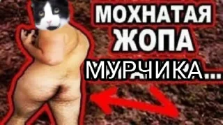 😁