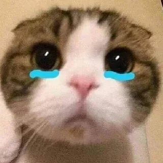 😢