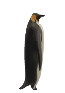 🐧