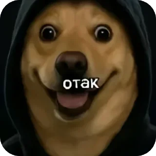 🐶