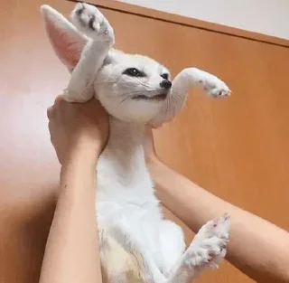 😄