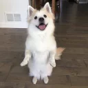 😃