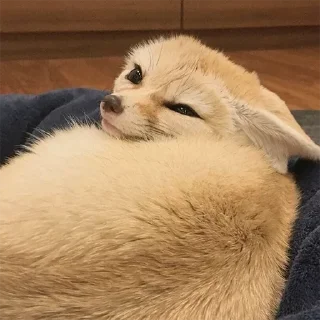 😉