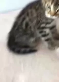 🤨