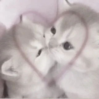 💞