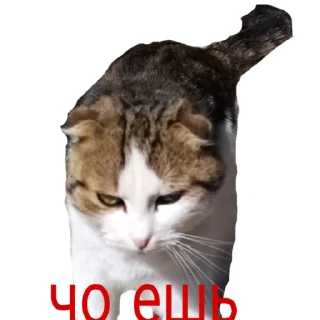 😏