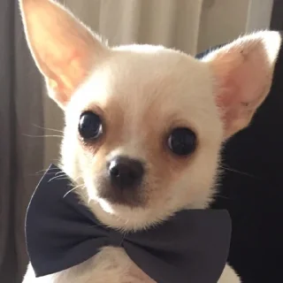 👔