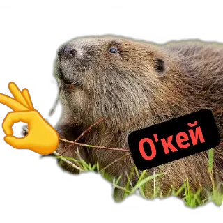 👍