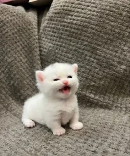😧
