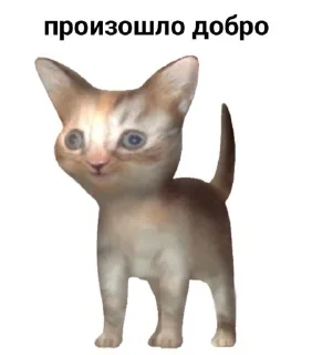 🗿