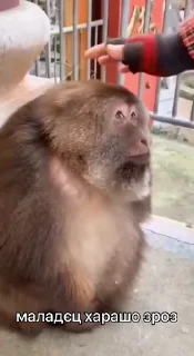 🤗