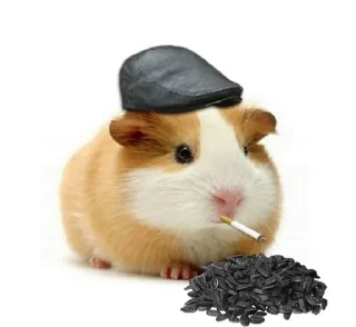 🐹