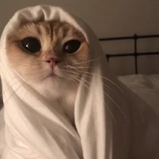 🙂