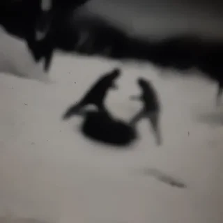 🐇