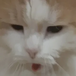 😗