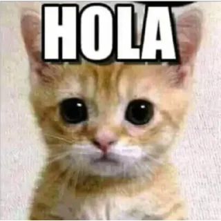 😀