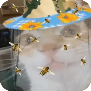 🐝