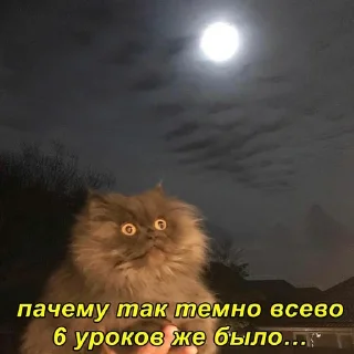 🥴