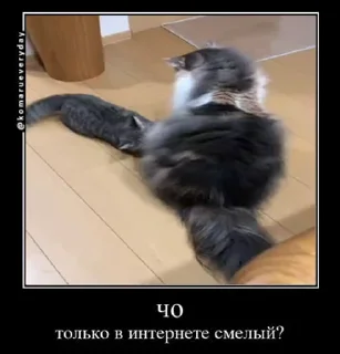 😠