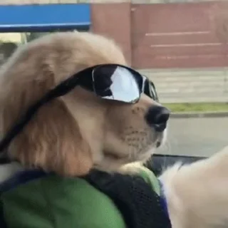 😎