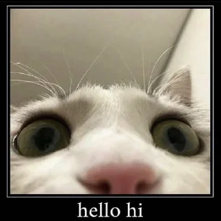 👋