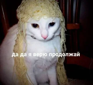 🍝